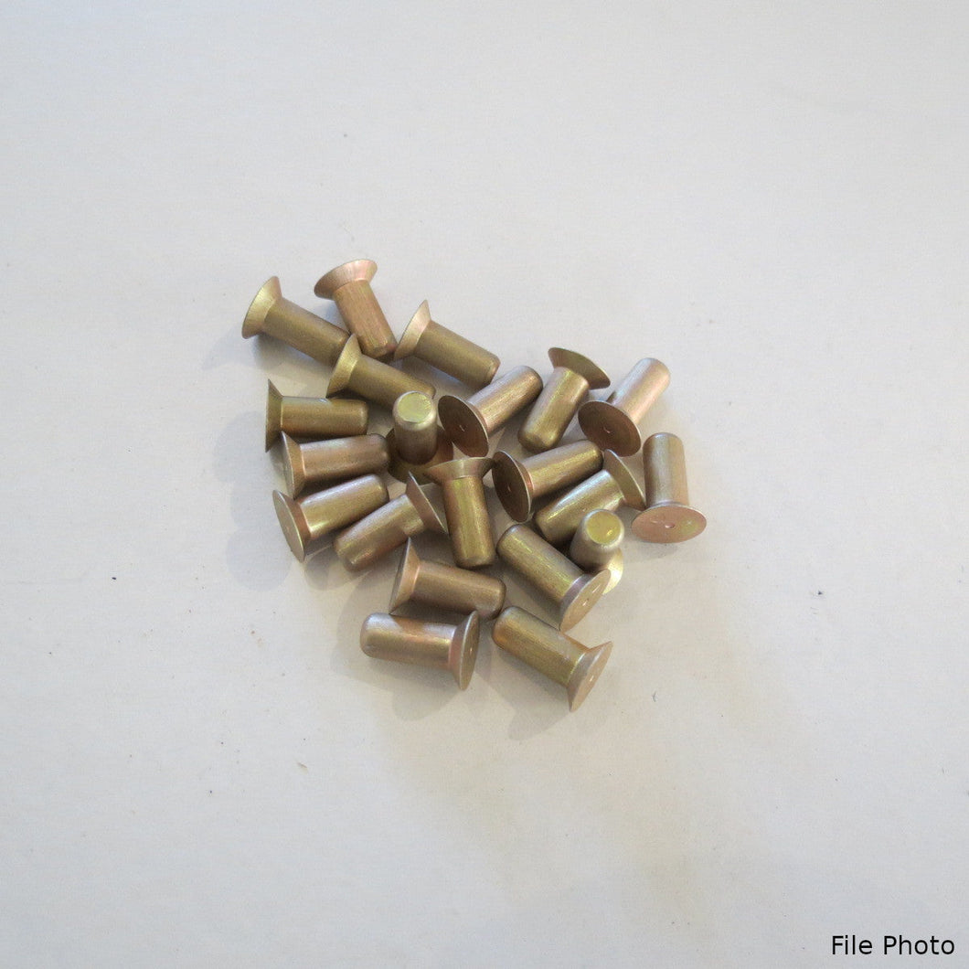 RIVET (0.25 LBS) P/N NAS1097AD3-3